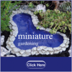 Miniature plants