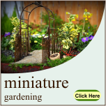 miniature plants