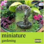 miniature garden